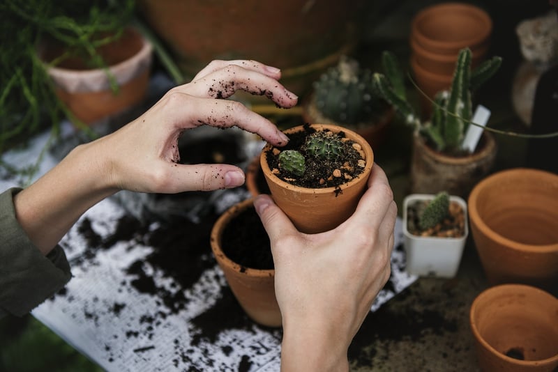 Gardening Image