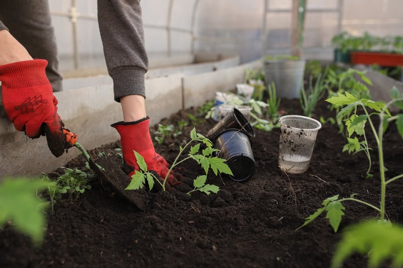 Gardening Image