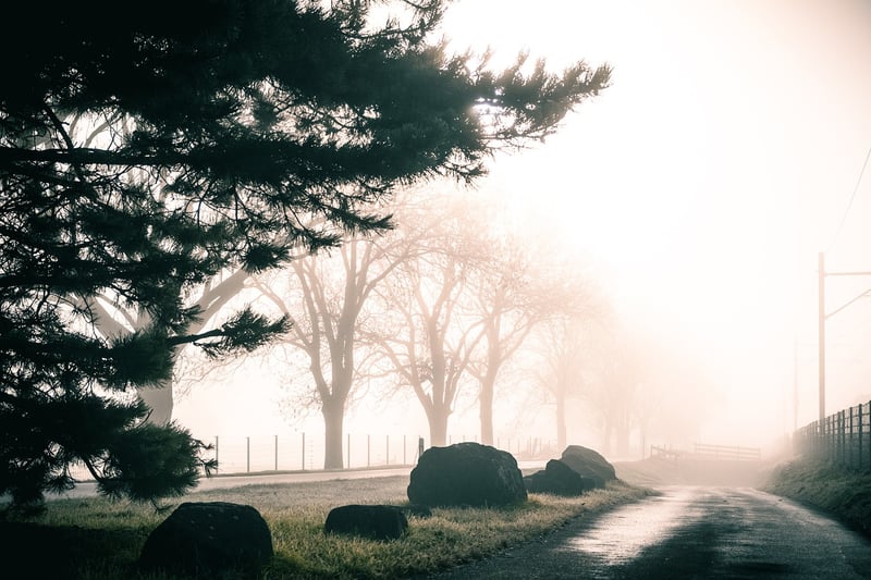 Whimsical Pathways