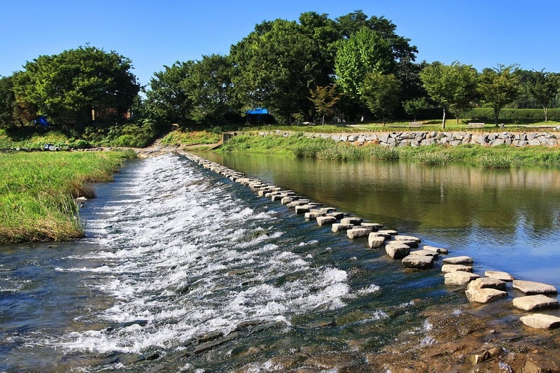 Custom Stepping Stones