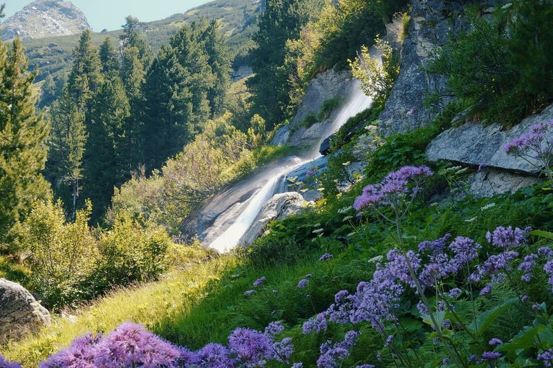Enchanting Water Features