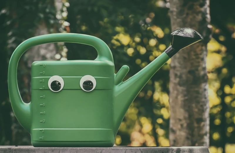 Recycled Watering Cans